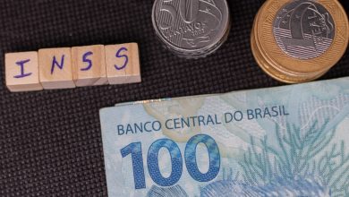 Se você vai receber o 13º salário do INSS, fique por dentro dos detalhes.