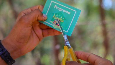 Se você recebe o Bolsa Família, tome cuidado para não descumprir com as regras.