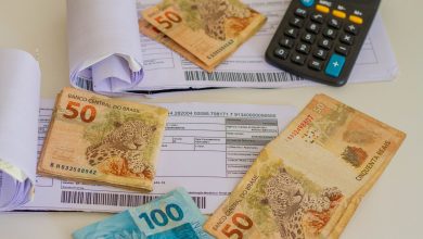 Você está se perguntando se dívidas podem cancelar documentos? Veja como funciona.