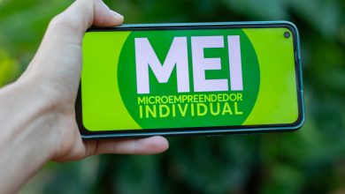 Antes de entregar o DASN-SIMEI, é importante entender como o documento funciona.