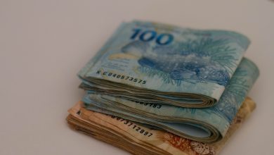 Ansioso para saber quando ocorre o pagamento do Garantia Safra? Entenda tudo sobre ele.