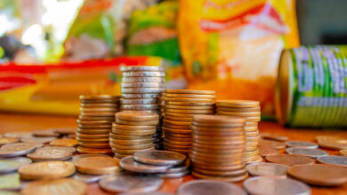 Se você quer ter direito ao Auxílio Cesta Básica, veja quais as regras e como solicitar.