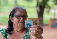 Se você já está pensando em garantir o pé-de-meia da aposentadoria, conheça a previdência complementar.