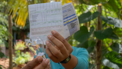Os beneficiários do CadÚnico podem receber isenção total da conta de luz.